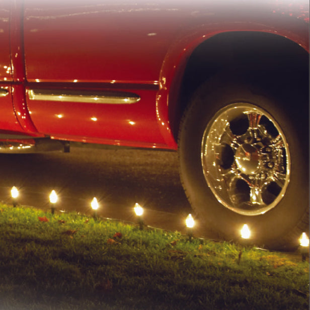 20 Ct. 2-in-1 Yard Stakes - Style 717020