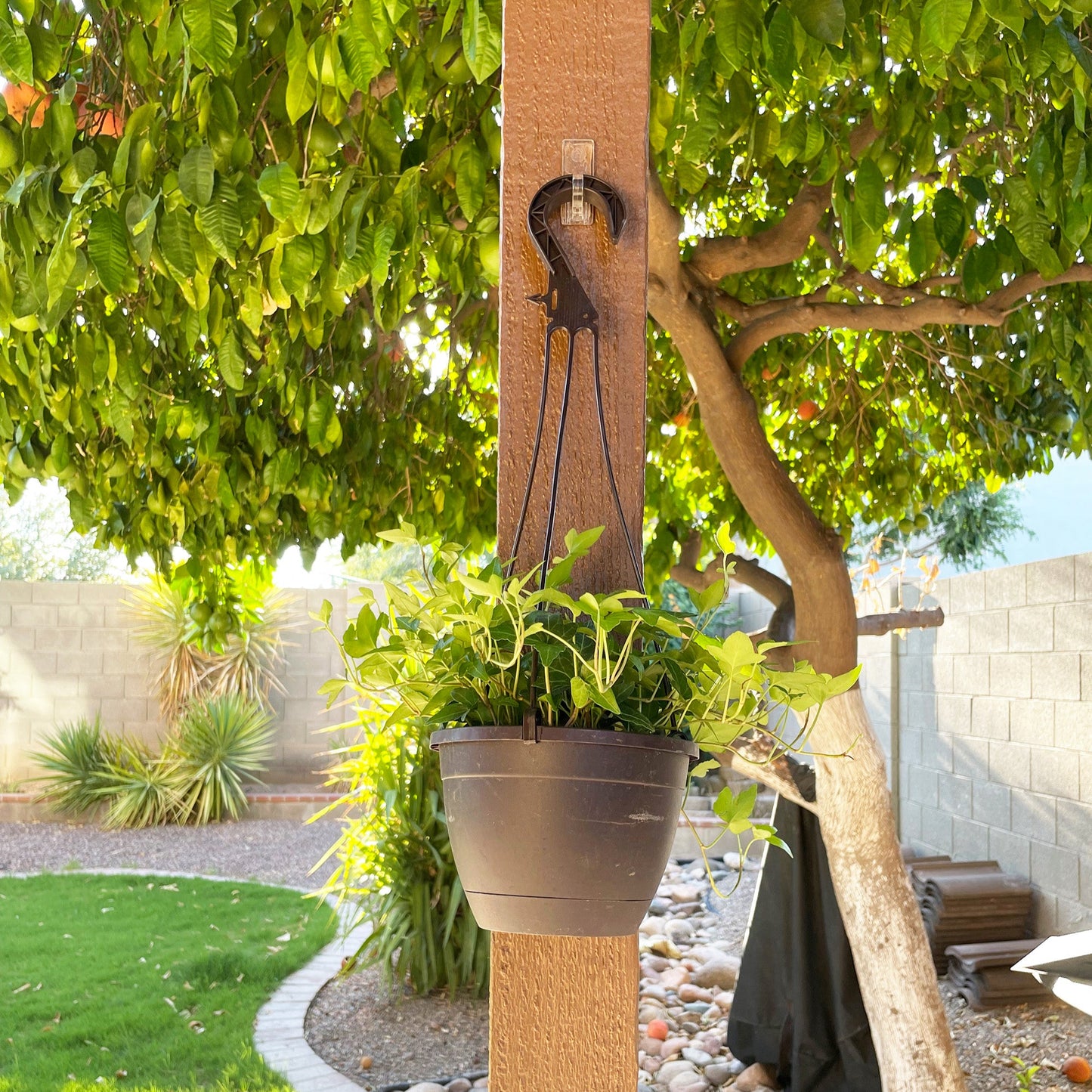 12 Ct. Max Pro™ "Anywhere" Sticky Large Hooks - Style 835012