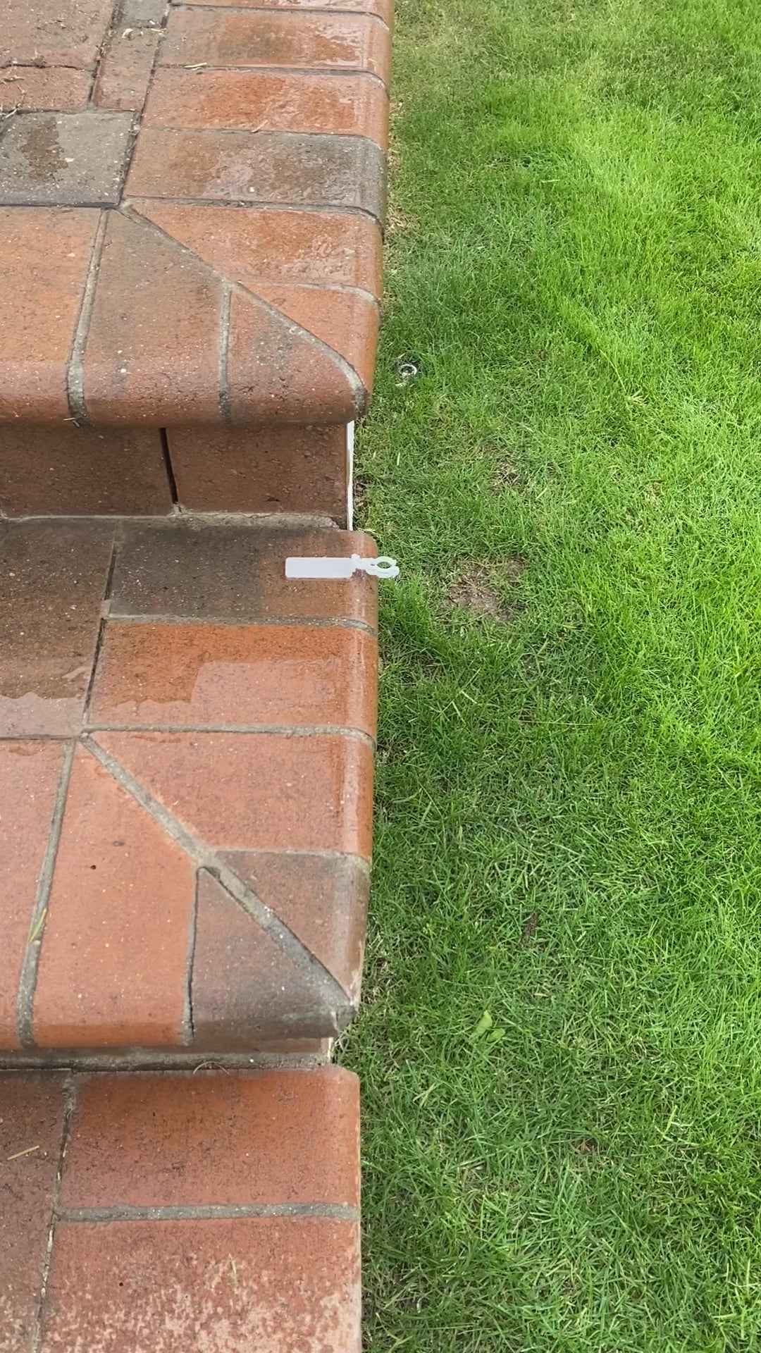 Sticky Clips