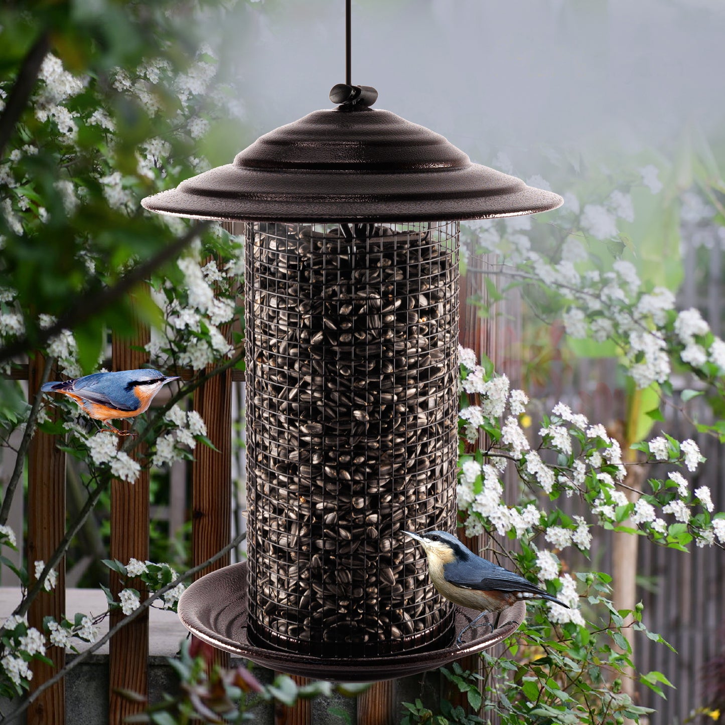 Metal Mesh Bird Feeder, Cylindrical Feeder with Dome Lid, Holds 2.5lb of Seed, Suitable for Multiple Seeds and Birds