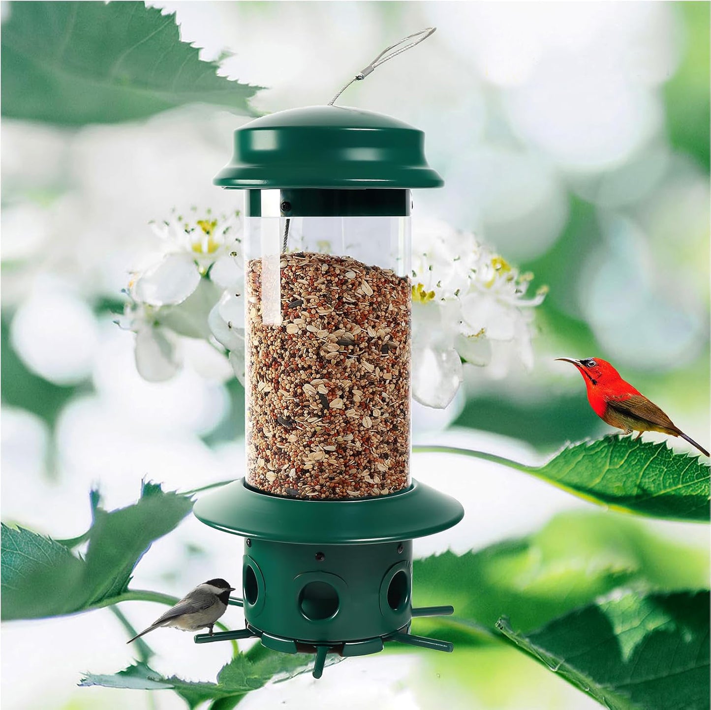Hanging Classic Tube Wild Bird Feeder Premium Hard Plastic Steel Hanger Weatherproof and Water Resistant -e904515